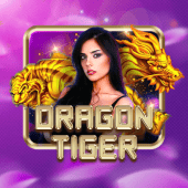 Dragon Tiger superking app features pick